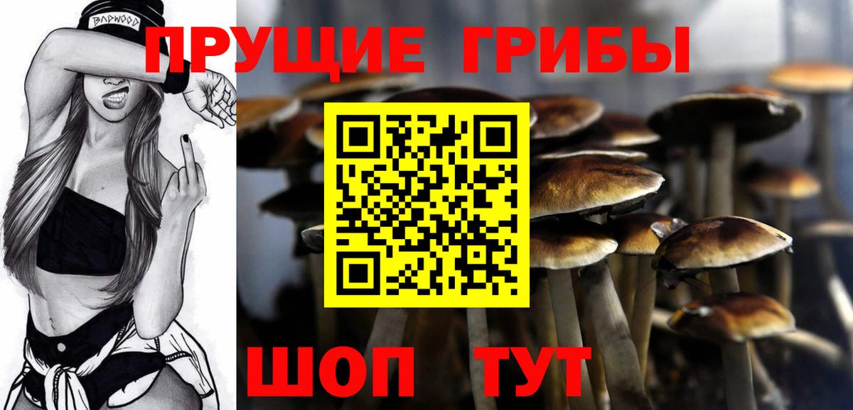 как найти   Галлюциногенные грибы мицелий  Вход с VPN  Псилоцибиновые грибы Cubensis  Амурск 